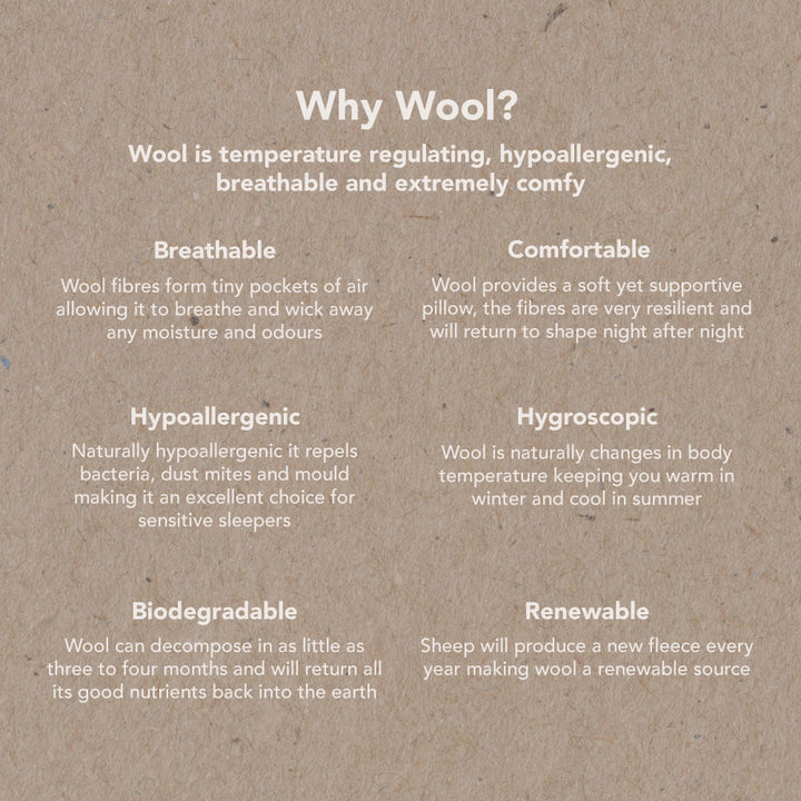 Wool benefits poster showcasing its natural qualities, like being breathable, biodegradable, and temperature-regulating